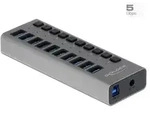 Delock Externer SuperSpeed USB Hub mit 10 Ports + Schalter