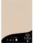 Clairefontaine Farbiges Papier A4 120g elfenbein 50 Blatt