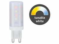 Paulmann LED Stiftsockel G9 230V 300lm 4W Tunable White dimmbar Klar 28820