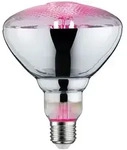 Paulmann Grow Green Edition LED Reflektor Filament E27 230V 200lm 6,5W 1300K Paulmann Grow Green Edition LED Reflektor Filament E27 230V 200lm 6,5W 1300K