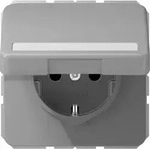 Jung SCHUKO-Steckdose 16A 250V CD 1520 BFNAKL GR CD1520BFNAKLGR