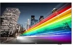 Philips 43BFL2214/12 Fernseher 109,2 cm (43") 4K Ultra HD Smart-TV WLAN Schwarz 350