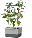 Gusta Garden Charly Chili Drinnen/Drau&szlig;en Topfpflanzer Freistehend Aluminium,