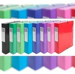 Exacompta 50629E 8x Archivbox aus Colorspan-Karton 600g/qm, R&uuml;cken 60mm mit Etikett,