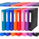 Exacompta 5970E 8x Archivbox aus PP 700&mu; blickdicht, R&uuml;cken 40mm, 25x33cm...