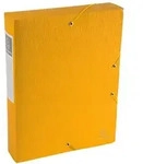 Exacompta 50919E 10x Archivboxen Scotten, R&uuml;cken 60mm mit Etikett, aus