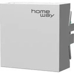 Homeway Access Point HW-INAP6TORW