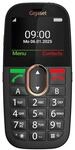 Gigaset 4G Smartphone 5,87 cm (2.31 Zoll) 2 MP Single SIM GL695 (Schwarz)