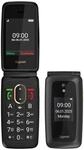 Gigaset 4G Smartphone 7,11 cm (2.8 Zoll) 2 MP Single SIM GL795 (Schwarz)