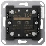 JUNG Taster A10921ST KNX Universal 2f.