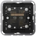 JUNG Taster LSCD10921ST KNX Universal 2f.