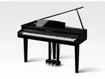 Kawai DG-30 Digital Fl&uuml;gel Set