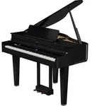 Roland GP-6 Digitalfl&uuml;gel Schwarz