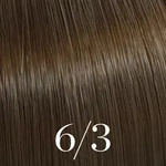Color Touch Rich Naturals - 6/3 dunkelblond gold