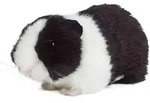 Living Nature Meerschweinchen schwarz 18cm ohne Sound