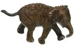 Schleich 14755 - Wild Life - Asiatisches Elefantenbaby