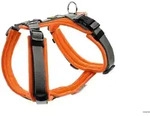 HUNTER Geschirr Maldon Up XS-S, orange/grau