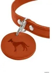 HUNTER Halsband Aalborg XS-S (37), orange
