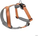 HUNTER Geschirr Neopren L, kupfer/grau