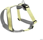 HUNTER Geschirr Neopren S, matcha/grau