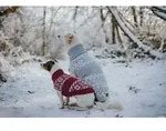 HUNTER Hundepullover Birka 50, graublau