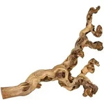 TRIXIE Weinrebe, wassergestrahlt, XL: 55&ndash;80 cm