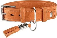 DOG SPORT 61883, DOG SPORT HUNTER Halsband Cannes M (55), orange