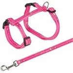 TRIXIE Katzengeschirr mit Leine XXL, Good Luck Motiv, 34&ndash;57 cm / 13 mm, 1,20 m