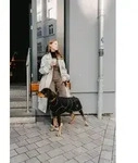 HUNTER Hundemantel Uppsala Softshell 55, schwarz