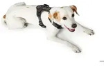 HUNTER Geschirr Maldon XS, braun/grau