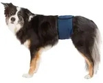 TRIXIE Windeln f&uuml;r R&uuml;den, Mesh-Material, L: 55&ndash;65 cm, dunkelblau