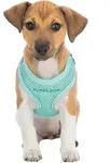 TRIXIE Junior Welpen-Softgeschirr mit Leine, S&ndash;M: 26&ndash;34 cm / 10 mm, 2,00 m,