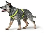 HUNTER Geschirr London Comfort S-M/2, limette