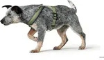 HUNTER Geschirr London Comfort XS-S, oliv