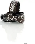HUNTER Halsband Arizona Up XS (32), schwarz