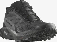 Salomon Sense Ride 5 GTX - Black/Magnet/Black - 40 2/3 (UK 7)