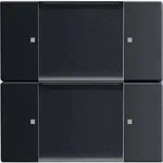 Busch-Jaeger Wandsender 6736/01-885