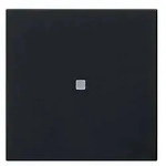 Gira Funk-Bedienaufsatz 5495005