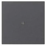 Gira Funk-Bedienaufsatz 549528