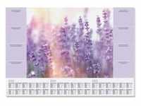 Schreibunterlage Fragrant Lavender 3-Jahres-Kalendarium 595x410mm 30 Blatt