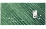 Glas-Magnettafel Artverum 91x46cm Palm Leaf matt