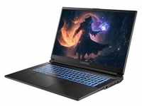 CAPTIVA Advanced Gaming I81-443 Laptop 43,9 cm (17.3'') Full HD Intel® CoreTM i5 16