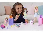 Mattel HJY17 Refreshed Travel Chelsea HJY17