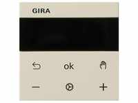 Gira RTR Display 539301
