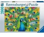 RAVENSBURGER Pfauenland Puzzle 2000 Teile