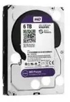 Western Digital Interne Festplatte 8.9 cm (3.5 Zoll) WD60PURZ
