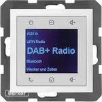 Berker Radio DAB+ S1/B..x pw. mat 29849909
