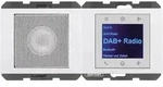 Berker Radio mit Lautspr. DAB+ K. 29807009