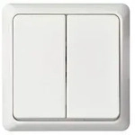 ELSO 506254 ELSO Doppeltaster 506254 42V/1A AP RENOVIERUNG reinwei&szlig; 1 St.