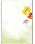 Designpapier Spring Flowers A4 90g/qm VE=50 Blatt